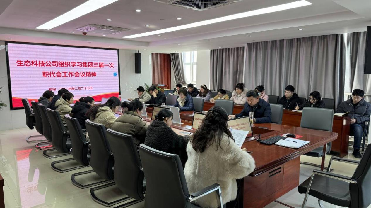 1709255805486814.jpg 2.jpg